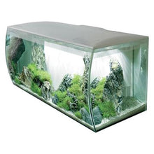 Load image into Gallery viewer, Aquarium équipé FLEX Fluval, blanc, 123 L (32,5 gal US) - Boutique Le Jardin Des Animaux -AquariumBoutique Le Jardin Des Animaux14996