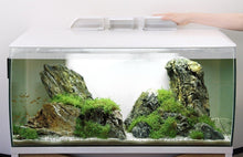 Load image into Gallery viewer, Aquarium équipé FLEX Fluval, blanc, 123 L (32,5 gal US) - Boutique Le Jardin Des Animaux -AquariumBoutique Le Jardin Des Animaux14996