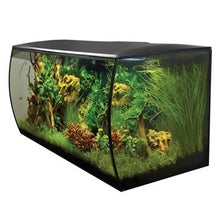 Load image into Gallery viewer, Aquarium équipé FLEX Fluval, noir, 123 L (32,5 gal US) - Boutique Le Jardin Des Animaux -AquariumBoutique Le Jardin Des Animaux14995