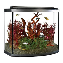 Load image into Gallery viewer, Aquarium équipé haut de gamme 26 Fluval à devant arrondi avec éclairage à DEL, 98 L (26 gal US) - Boutique Le Jardin Des Animaux -AquariumBoutique Le Jardin Des Animaux15227