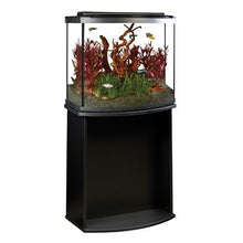 Load image into Gallery viewer, Aquarium équipé haut de gamme 26 Fluval à devant arrondi avec éclairage à DEL, 98 L (26 gal US) - Boutique Le Jardin Des Animaux -AquariumBoutique Le Jardin Des Animaux15227