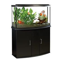 Load image into Gallery viewer, Aquarium équipé haut de gamme 45 Fluval à devant arrondi avec éclairage à DEL, 170 L (45 gal US) - Boutique Le Jardin Des Animaux -AquariumBoutique Le Jardin Des Animaux15232