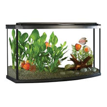 Load image into Gallery viewer, Aquarium équipé haut de gamme 45 Fluval à devant arrondi avec éclairage à DEL, 170 L (45 gal US) - Boutique Le Jardin Des Animaux -AquariumBoutique Le Jardin Des Animaux15232