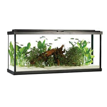Load image into Gallery viewer, Aquarium équipé haut de gamme 55 Fluval avec éclairage à DEL, 208 L (55 gal US) - Boutique Le Jardin Des Animaux -AquariumBoutique Le Jardin Des Animaux15222