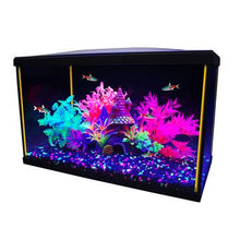 Load image into Gallery viewer, Aquarium équipé iGlo Marina, 19 L (5 gal US) - Boutique Le Jardin Des Animaux -AquariumBoutique Le Jardin Des Animaux15252
