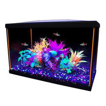 Load image into Gallery viewer, Aquarium équipé iGlo Marina, 68 L (20 gal US) - Boutique Le Jardin Des Animaux -AquariumBoutique Le Jardin Des Animaux15259