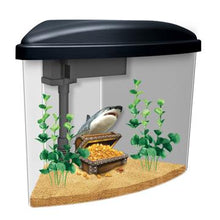 Load image into Gallery viewer, Aquarium équipé Pirates Marina, 3,7 L (1 gal US) - Boutique Le Jardin Des Animaux -AquariumBoutique Le Jardin Des Animaux13310
