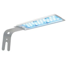 Load image into Gallery viewer, Aquarium équipé SPEC Fluval, noir, 10 L (2,6 gal US) - Boutique Le Jardin Des Animaux -AquariumBoutique Le Jardin Des Animaux10515