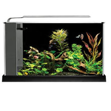 Load image into Gallery viewer, Aquarium équipé SPEC Fluval, noir, 19 L (5 gal US) - Boutique Le Jardin Des Animaux -AquariumBoutique Le Jardin Des Animaux10516