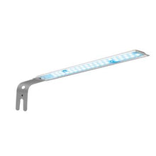 Load image into Gallery viewer, Aquarium équipé SPEC Fluval, noir, 19 L (5 gal US) - Boutique Le Jardin Des Animaux -AquariumBoutique Le Jardin Des Animaux10516