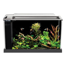Load image into Gallery viewer, Aquarium équipé SPEC Fluval, noir, 19 L (5 gal US) - Boutique Le Jardin Des Animaux -AquariumBoutique Le Jardin Des Animaux10516
