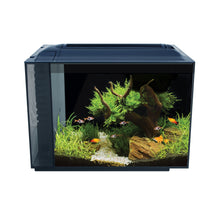 Load image into Gallery viewer, Aquarium équipé SPEC Fluval, noir, 60 L (16 gal US) - Boutique Le Jardin Des Animaux -AquariumBoutique Le Jardin Des Animaux10525