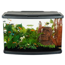 Load image into Gallery viewer, Aquarium équipé Vista Fluval, 60 L (16 gal US) - Boutique Le Jardin Des Animaux -AquariumBoutique Le Jardin Des Animaux15245