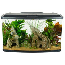 Load image into Gallery viewer, Aquarium équipé Vista Fluval, 87 L (23 gal US) - Boutique Le Jardin Des Animaux -AquariumBoutique Le Jardin Des Animaux15248
