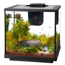 Load image into Gallery viewer, Aquarium pour crevette avec DEL, AQUEON 7,5 gal. - Boutique Le Jardin Des Animaux -AquariumBoutique Le Jardin Des Animaux73912