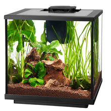 Load image into Gallery viewer, Aquarium pour crevette avec DEL, AQUEON 7,5 gal. - Boutique Le Jardin Des Animaux -AquariumBoutique Le Jardin Des Animaux73912