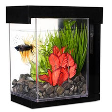 Load image into Gallery viewer, Aquarium Style Marina pour betta, noir, 3,7 L (1 gal US) - Boutique Le Jardin Des Animaux -AquariumBoutique Le Jardin Des Animaux13367