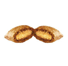 Load image into Gallery viewer, BLUE « Bursts » Gâteries pour Chats Saveur de Fruits de Mer - Boutique Le Jardin Des Animaux -Gâterie pour chatBoutique Le Jardin Des Animaux279-13945