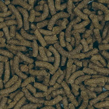 Load image into Gallery viewer, Bug Bites bâtonnets pour poisson de fond et plécos, moyens/grands - Boutique Le Jardin Des Animaux -Nourriture PoissonBoutique Le Jardin Des Animauxa6363