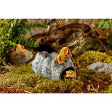 Load image into Gallery viewer, Cachettes Wet Cave Exo Terra, grotte céramique hygroscopique, grand - Boutique Le Jardin Des Animaux -DécorationBoutique Le Jardin Des AnimauxPT3173