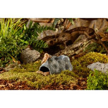 Load image into Gallery viewer, Cachettes Wet Cave Exo Terra, grotte céramique hygroscopique, moyen - Boutique Le Jardin Des Animaux -DécorationBoutique Le Jardin Des AnimauxPT3172