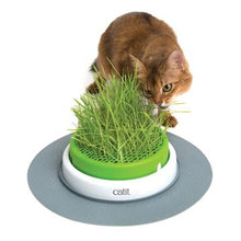 Load image into Gallery viewer, Catit 2.0 jardinière d'herbe à chat à cultiver - Boutique Le Jardin Des Animaux -Herbe à chatBoutique Le Jardin Des Animaux43161w
