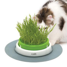 Load image into Gallery viewer, Catit 2.0 jardinière d'herbe à chat à cultiver - Boutique Le Jardin Des Animaux -Herbe à chatBoutique Le Jardin Des Animaux43161w