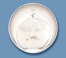 Load image into Gallery viewer, Catit PIXI abreuvoir pour chat intelligent avec appli de contrôle à distance - Boutique Le Jardin Des Animaux -AbreuvoirBoutique Le Jardin Des Animaux43751