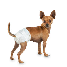 Load image into Gallery viewer, Couches jetables Dogit Clean, petites, paquet de 12 - Boutique Le Jardin Des Animaux -entrainement proprrtéBoutique Le Jardin Des Animaux70501