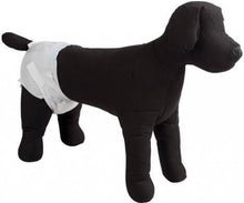 Load image into Gallery viewer, Couches jetables Dogit Clean, très grandes, paquet de 12 - Boutique Le Jardin Des Animaux -entrainement proprrtéBoutique Le Jardin Des Animaux70507