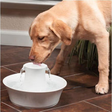 Load image into Gallery viewer, Drinkwell - Fontaine en céramique pour animaux de compagnie Avalon - Blanc - Boutique Le Jardin Des Animaux -AbreuvoirBoutique Le Jardin Des AnimauxAVALON-CA-17