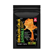Load image into Gallery viewer, Granulés Dragon Grub Exo Terra à base d’insectes pour Dragon barbu juvénile - Boutique Le Jardin Des Animaux -nourriture reptileBoutique Le Jardin Des AnimauxPT3263