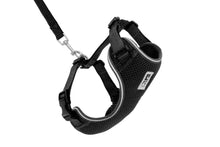 Load image into Gallery viewer, Harnais pour chat Noir - ADVENTURE KITTY HARNESS - RC Pets - Boutique Le Jardin Des Animaux -CollierBoutique Le Jardin Des Animaux538 - 001 Black
