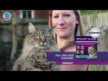 Load and play video in Gallery viewer, Feliway Classic diffuser + refills, 120 days