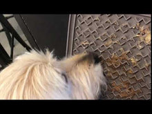 Load and play video in Gallery viewer, Therapeutic Silicone Licking Mat - Medium - 8" x 8" - Warm Gray
