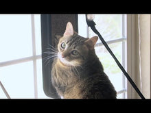 Load and play video in Gallery viewer, K&H\Kitty Sill - EZ Window Mount, Cat Window Sill Shelf
