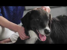 Load and play video in Gallery viewer, FURminator blade comb for long haired dog undercoat