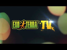 Load and play video in Gallery viewer, Exo Terra thermostat (600W)/humidistat (100W) with timer, day and night