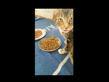 Load and play video in Gallery viewer, Nature Choice - Dried Larvae