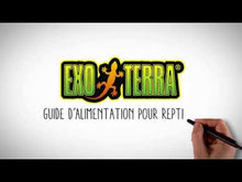 Load and play video in Gallery viewer, Exo Terra Dragon Grub Insect Based Pellets for Juvenile Bearded Dragon