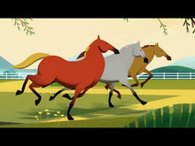 Load and play video in Gallery viewer, Silver Honey - for fast wound repair 8oz - Absorbine