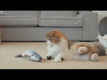 Load and play video in Gallery viewer, Dancing fish cat toy