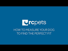 Load and play video in Gallery viewer, RC Pet Harness Step In Circus Black