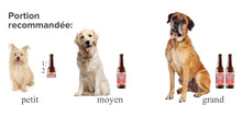 Load image into Gallery viewer, La bière pour chiens Brouff, 250 ml. par bouteille - Boutique Le Jardin Des Animaux -Gâterie pour chienBoutique Le Jardin Des AnimauxBR001960