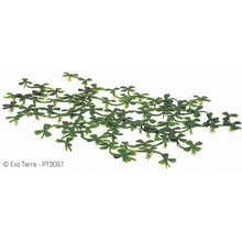 Load image into Gallery viewer, Lentille d'eau flottante Water Plants Exo Terra - Boutique Le Jardin Des Animaux -DécorationBoutique Le Jardin Des AnimauxPT3061