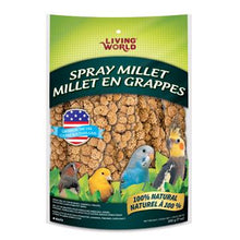 Load image into Gallery viewer, Living World Millets en grappes pour oiseaux - Boutique Le Jardin Des Animaux -Gâterie oiseauBoutique Le Jardin Des Animaux82472
