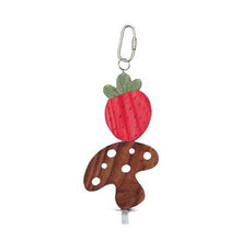 Load image into Gallery viewer, Living World Nibblers jouet à gruger fraise et champignon en bois sur tige pour petits mammifères - Boutique Le Jardin Des Animaux -Gâterie petit mammifèreBoutique Le Jardin Des Animaux61475