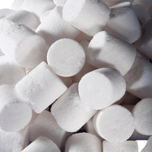 Load image into Gallery viewer, Masse filtrante BioMax pour Série U Fluval - Boutique Le Jardin Des Animaux -Masse FiltranteBoutique Le Jardin Des AnimauxA495