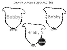 Load image into Gallery viewer, Médaille pour chien collection Friends, BORDER COLLIE - Boutique Le Jardin Des Animaux -médailleBoutique Le Jardin Des AnimauxMF03N