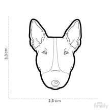 Load image into Gallery viewer, Médaille pour chien collection Friends, BULL TERRIER, Couleurs variées - Boutique Le Jardin Des Animaux -médailleBoutique Le Jardin Des AnimauxMF21BROWN